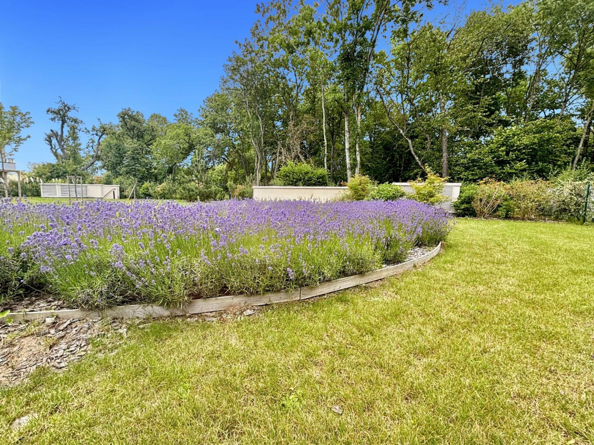 Sunny Suite Disneyland Paris - Rentaway Bnb Montévrain Eksteriør bilde